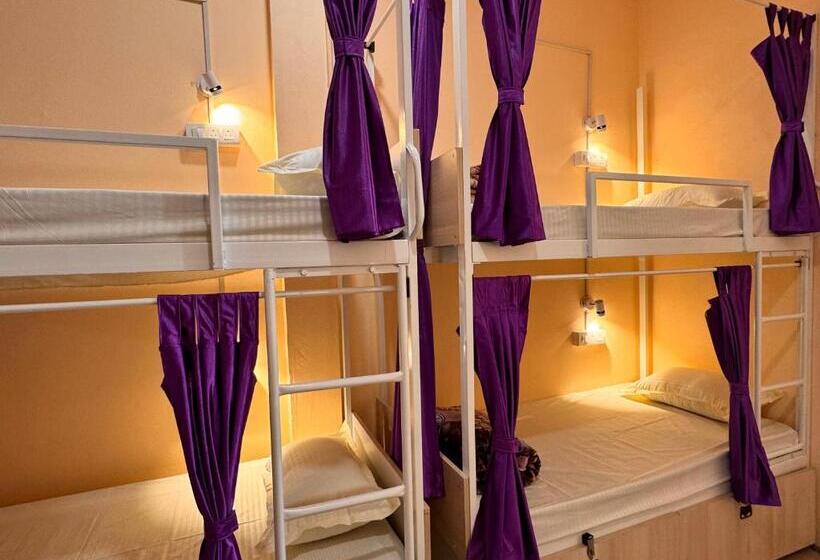 Vandrarhem The Backpackstack