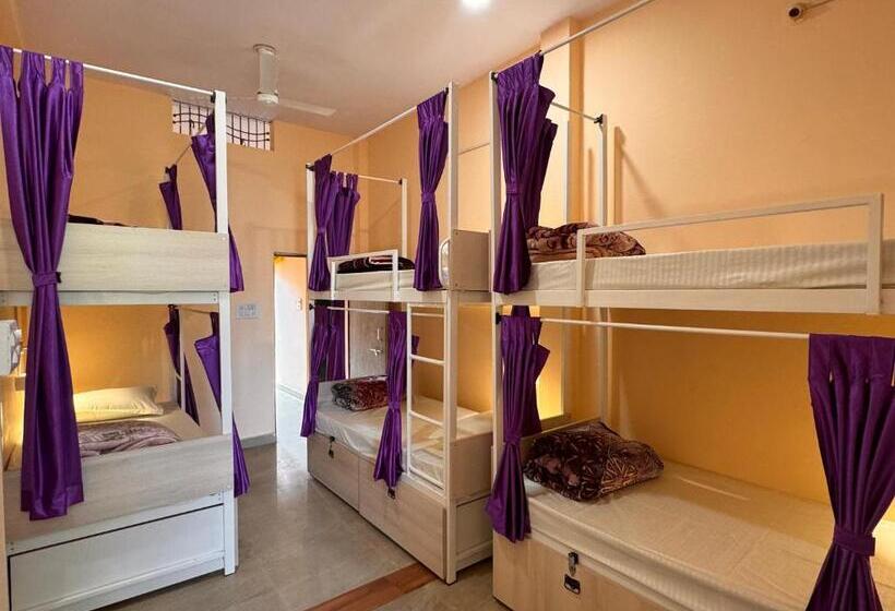 Vandrarhem The Backpackstack