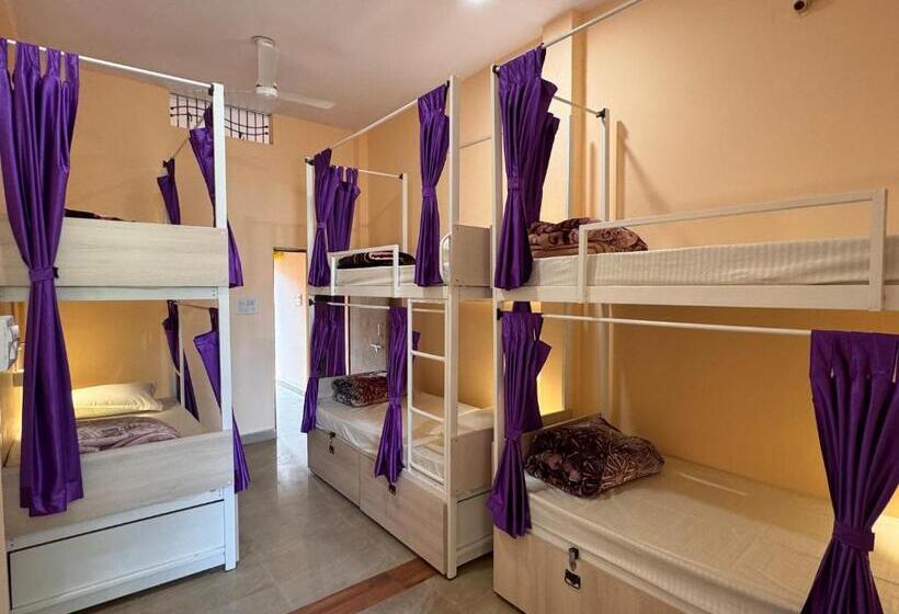 Vandrarhem The Backpackstack