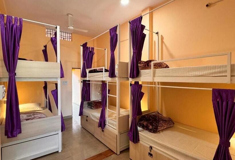 Vandrarhem The Backpackstack