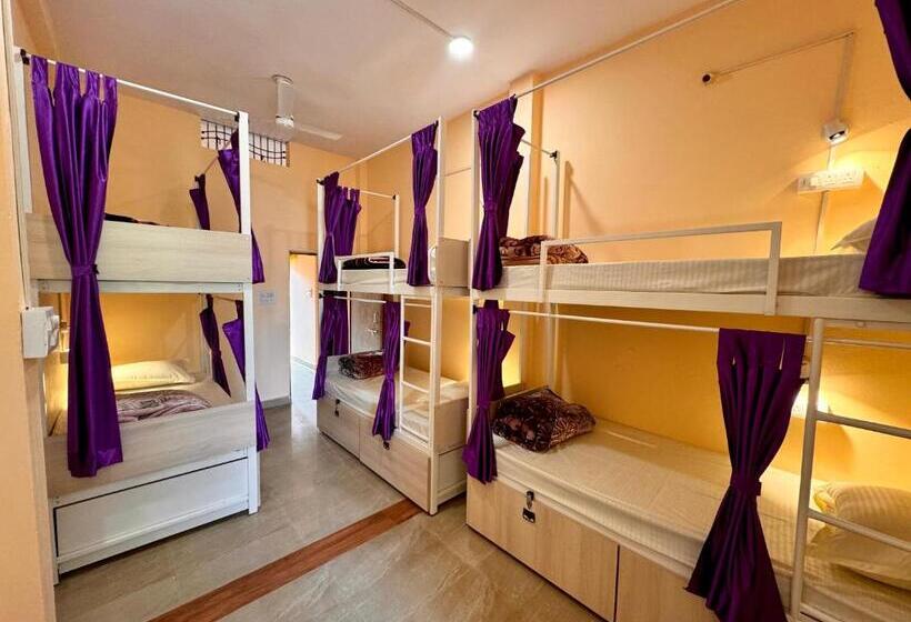 Vandrarhem The Backpackstack