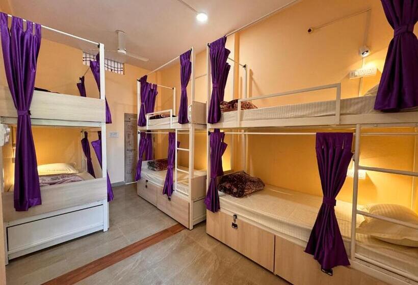 Vandrarhem The Backpackstack