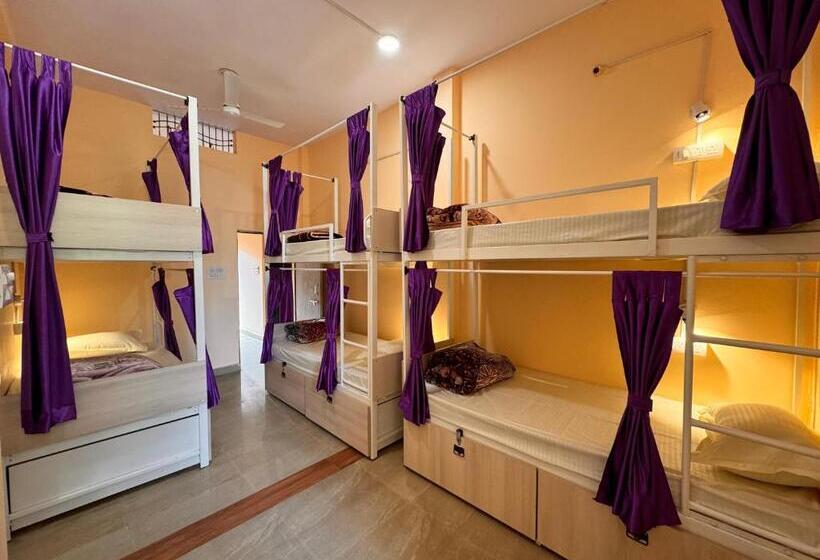 Vandrarhem The Backpackstack