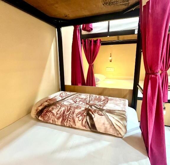 Vandrarhem The Backpackstack