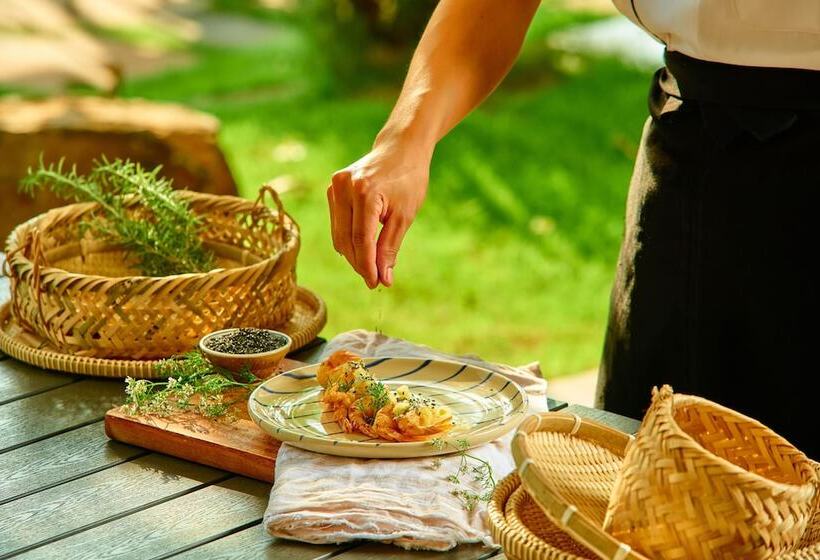 هتل The Coffee City Healing & Retreats