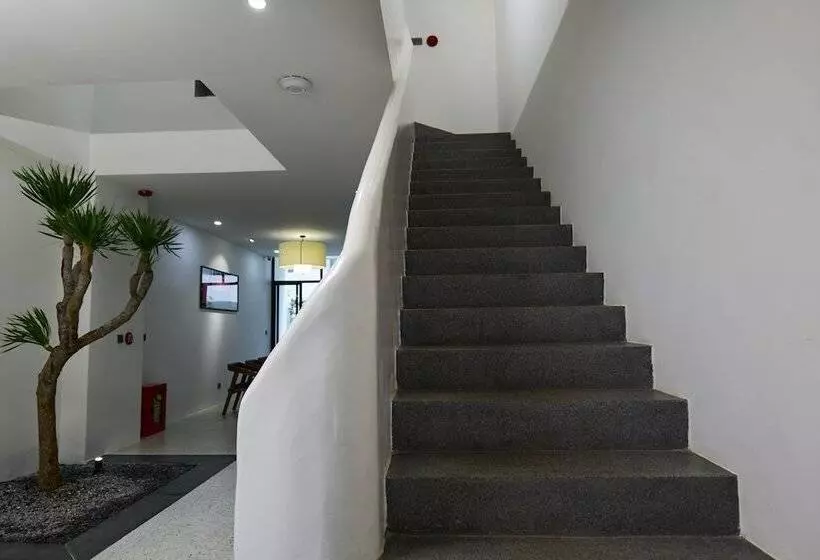 هتل The Coffee City   Healing & Retreats