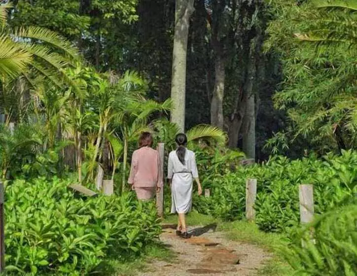 هتل The Coffee City   Healing & Retreats