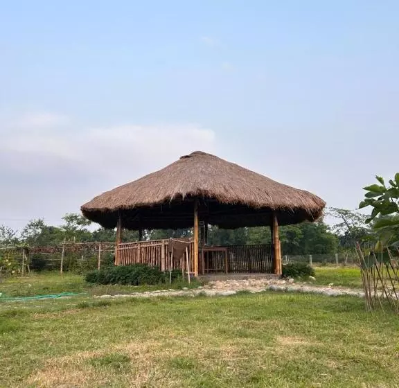Resort Otel Sonai Nameri Nameri National Park