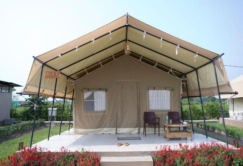 استراحتگاه Sonai Nameri   Nameri National Park