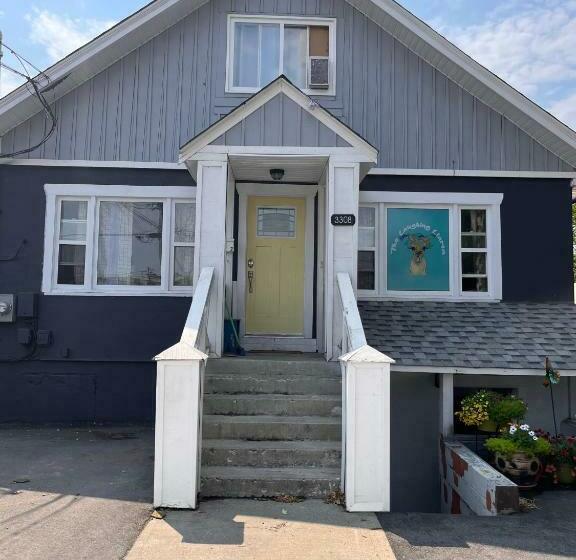 Szálló Laughing Llama