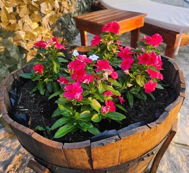 تختخواب و صبحانه Krcma U Planini