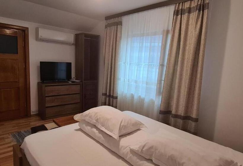 膳宿费 Hanul Ancutei