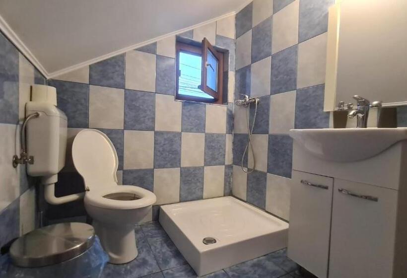 ペンション Hanul Ancutei