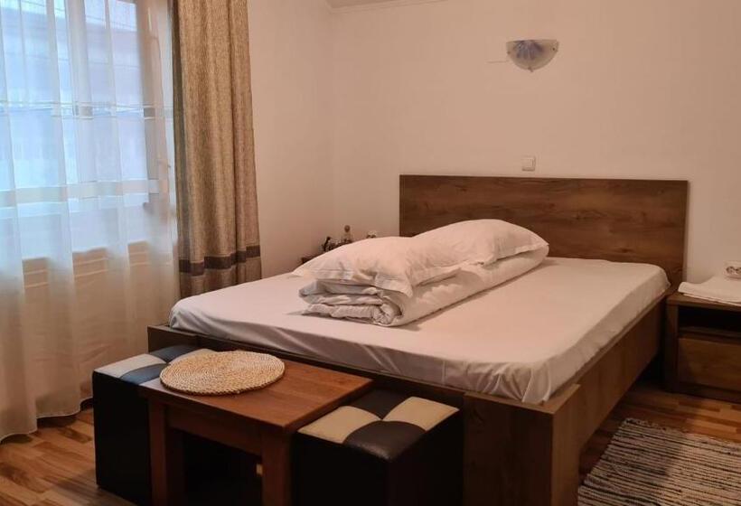 膳宿费 Hanul Ancutei