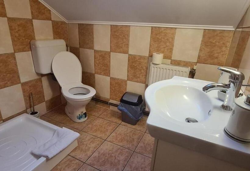 膳宿费 Hanul Ancutei