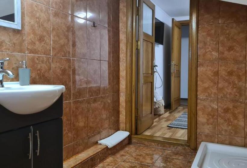 膳宿费 Hanul Ancutei