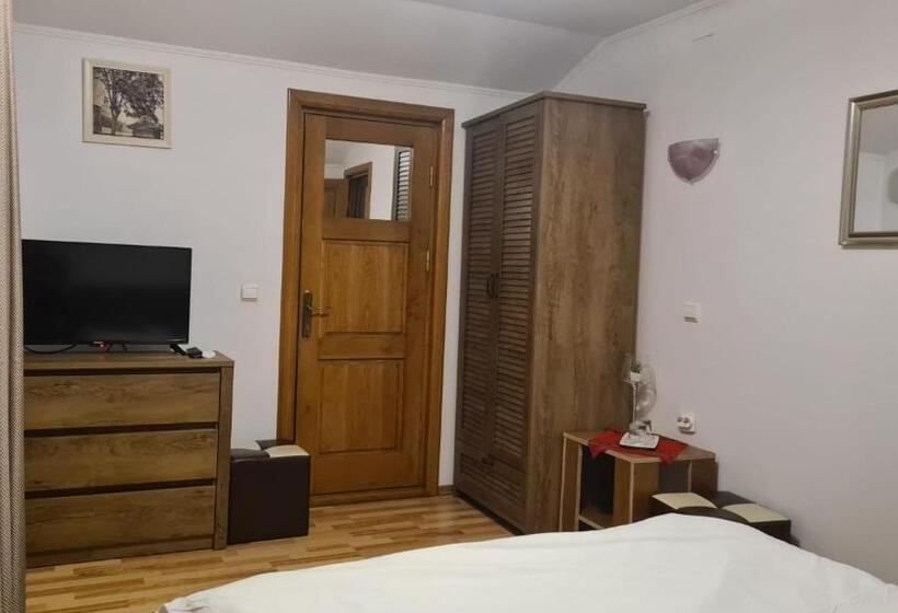 膳宿费 Hanul Ancutei