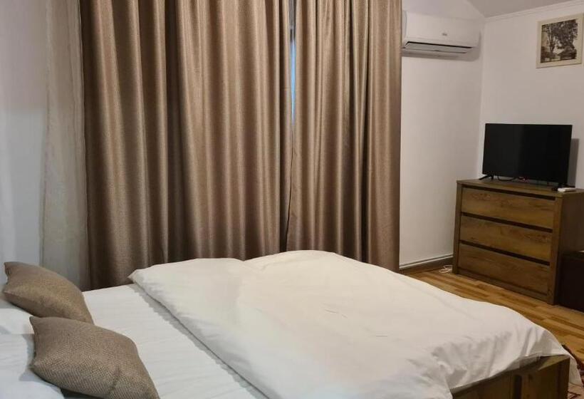 膳宿费 Hanul Ancutei