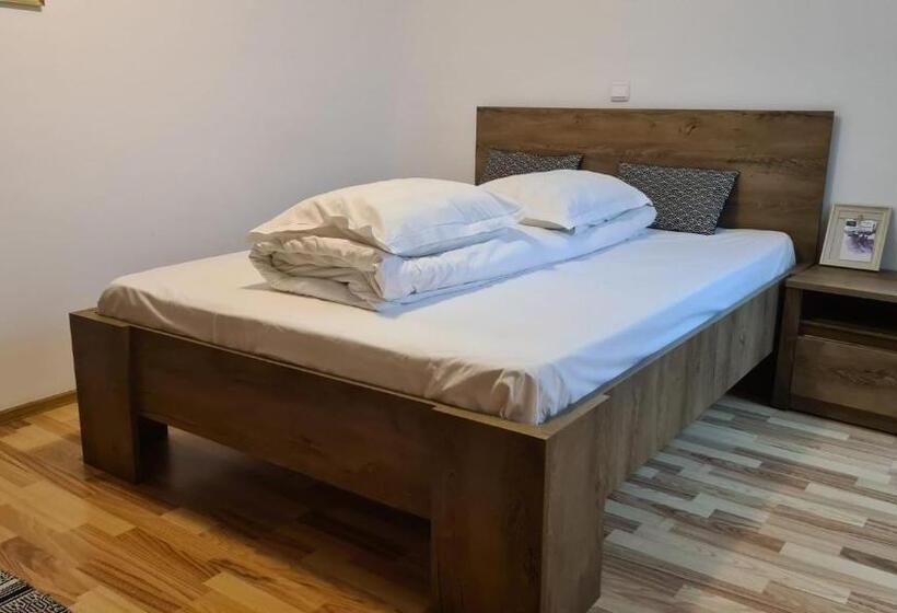 膳宿费 Hanul Ancutei