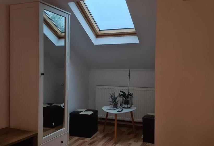 膳宿费 Hanul Ancutei