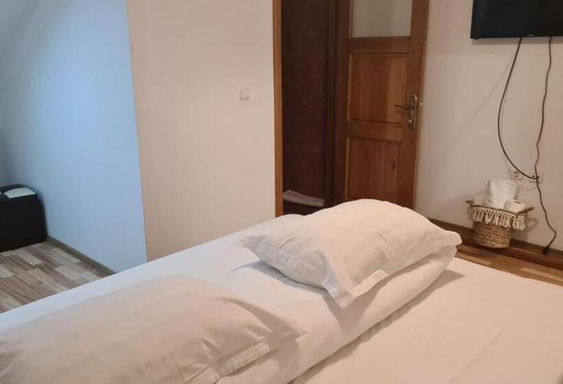 膳宿费 Hanul Ancutei