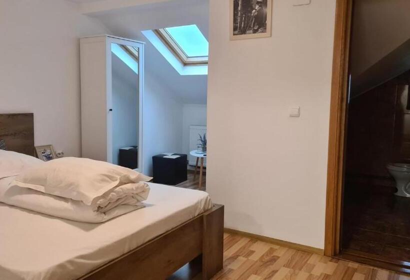 膳宿费 Hanul Ancutei