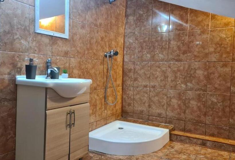 ペンション Hanul Ancutei