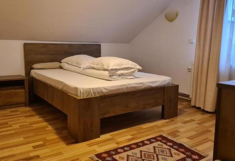 ペンション Hanul Ancutei