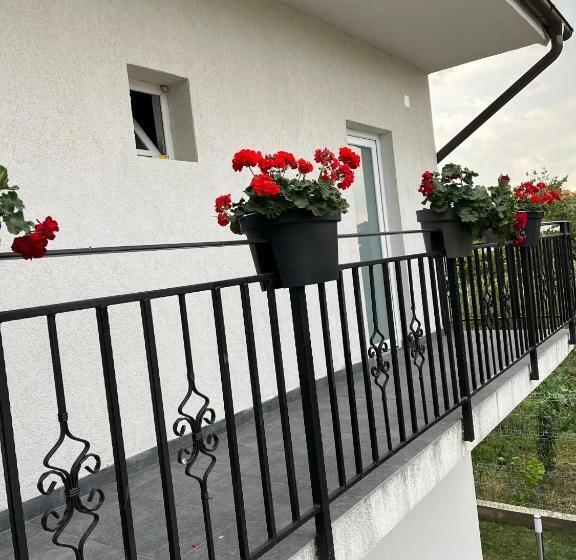 پانسیون Maison 25