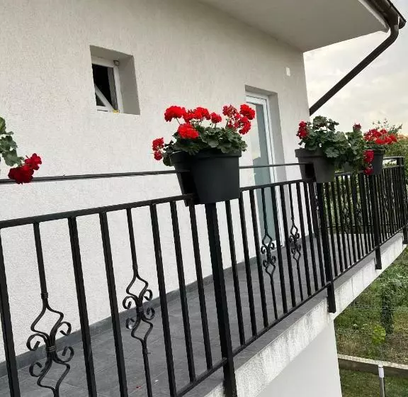 Pensió Maison 25