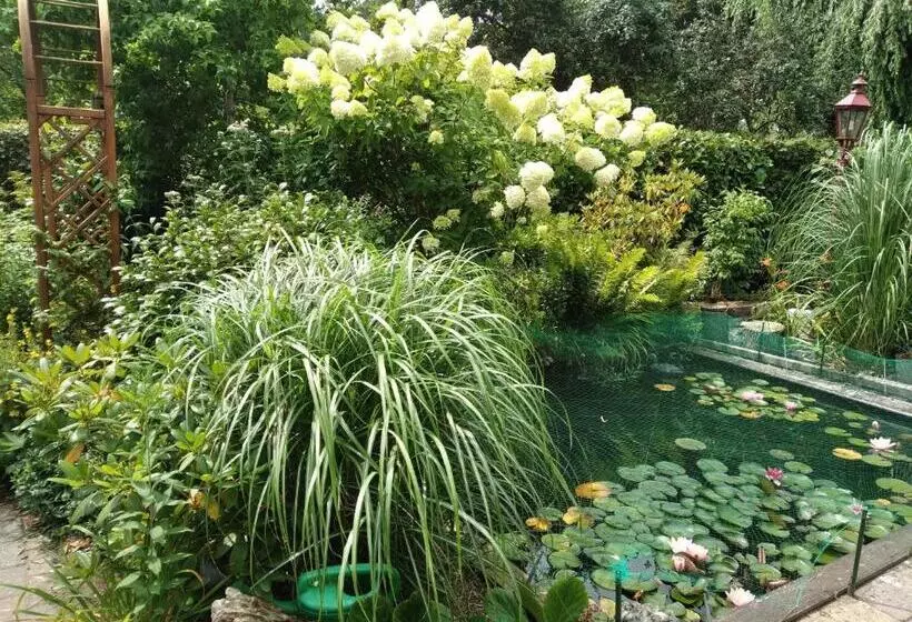 Majatalo Kop Vd Hondsrug1