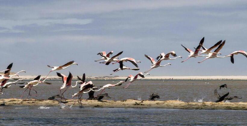 بنسيون Shalom Self Catering