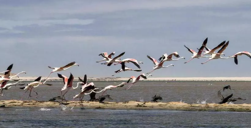 Majatalo Shalom Self Catering