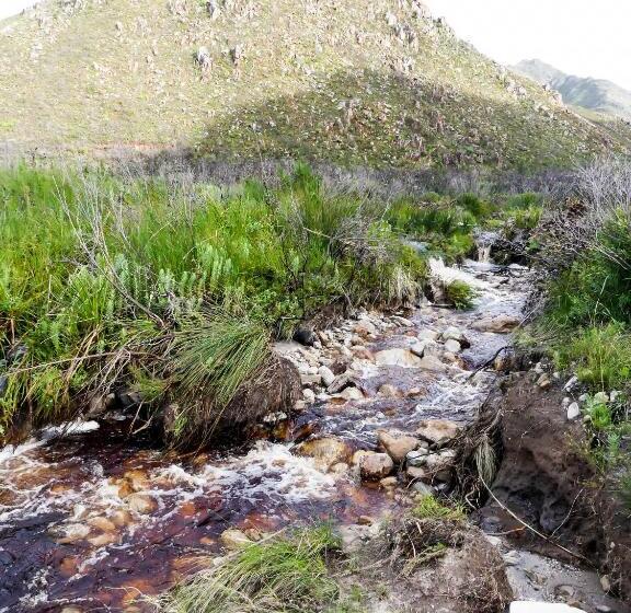 بنسيون Shalom Self Catering