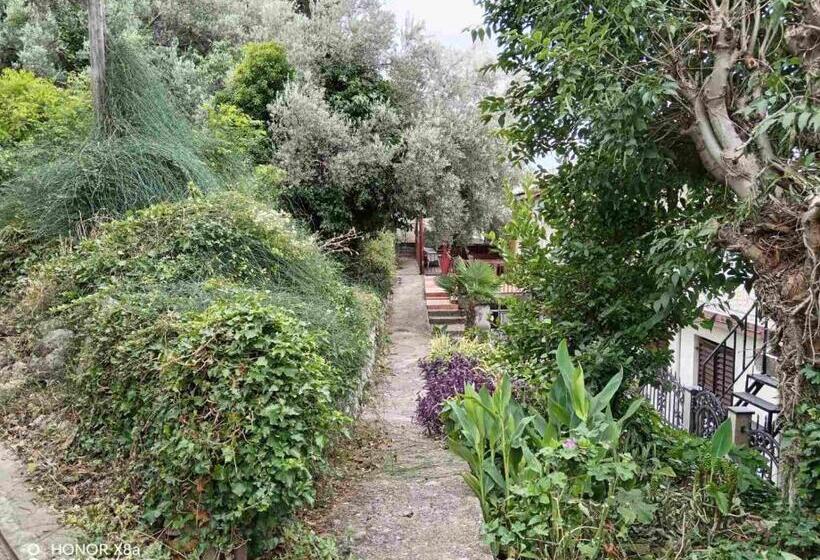 پانسیون Apartmani Gina