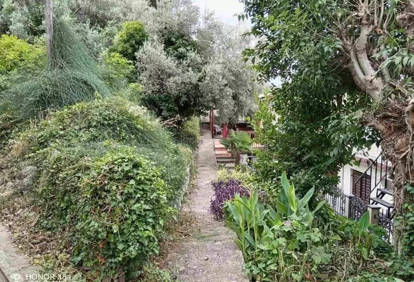 پانسیون Apartmani Gina