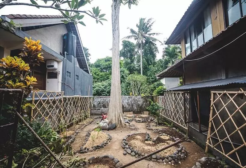 Aamiaismajoitus (B&B) 1111 Alchemy Space