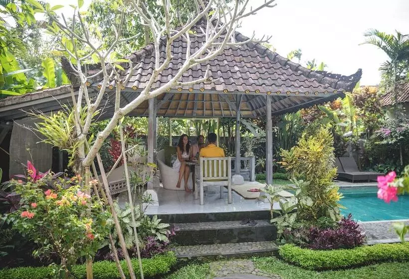 Aamiaismajoitus (B&B) 1111 Alchemy Space