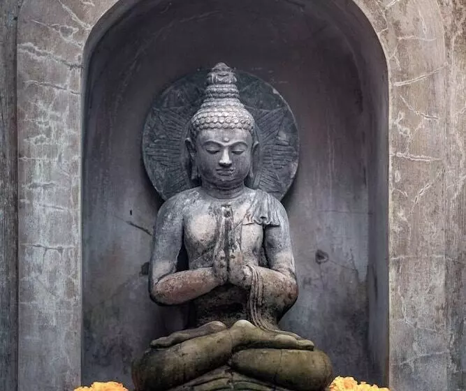 Aamiaismajoitus (B&B) 1111 Alchemy Space