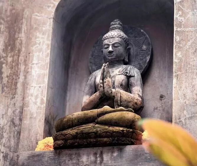 Aamiaismajoitus (B&B) 1111 Alchemy Space