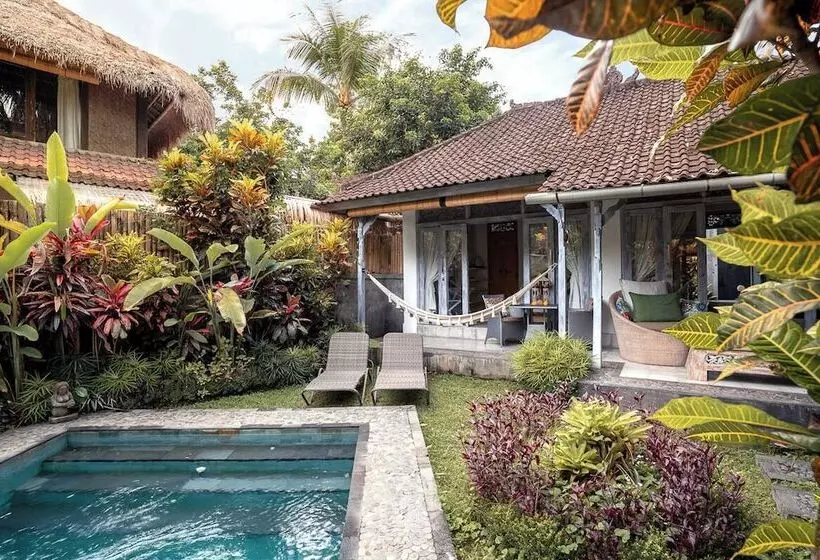 Aamiaismajoitus (B&B) 1111 Alchemy Space