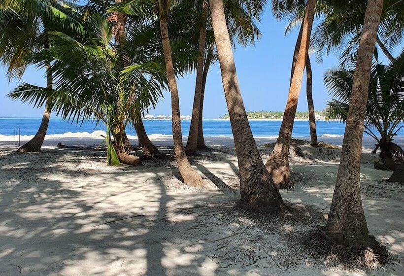 هتل Fehi Velaa Stay