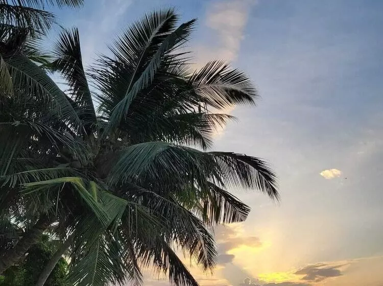 هتل Fehi Velaa Stay