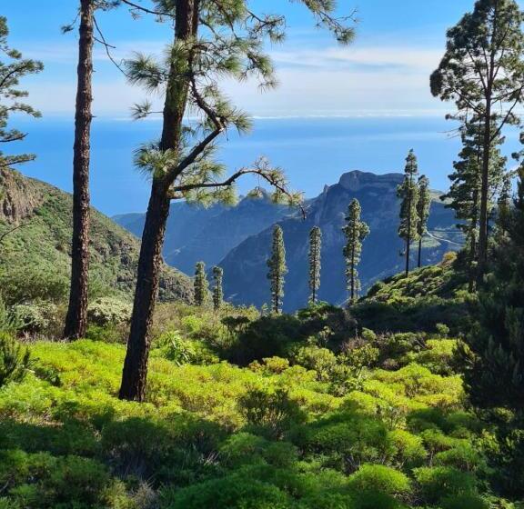 پانسیون Mini Suite 35 Qm