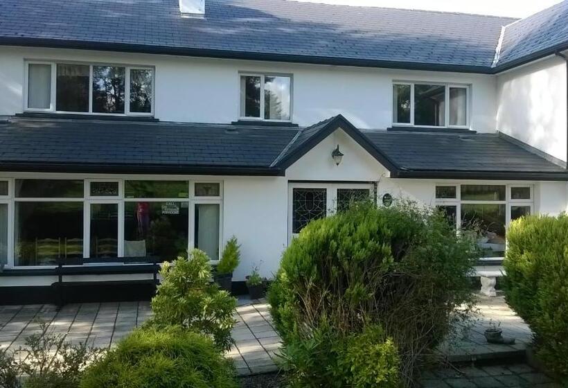 مبيت وإفطار Arch House