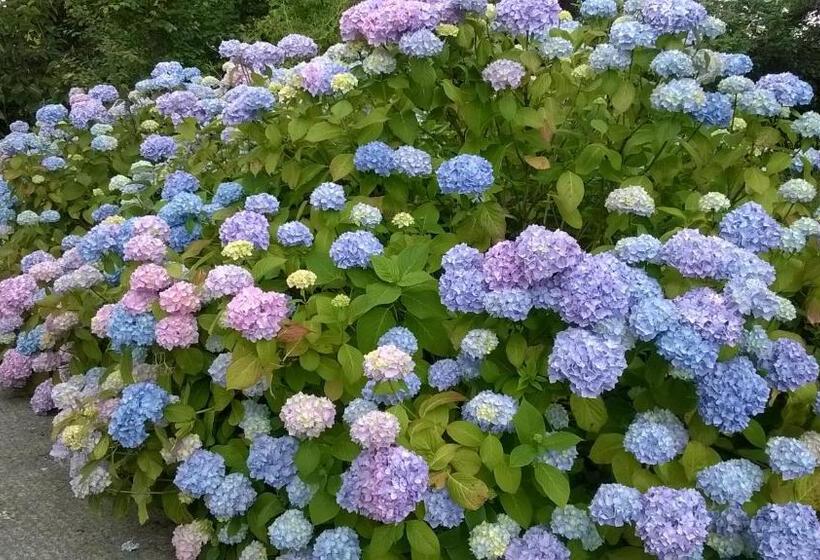 مبيت وإفطار Arch House