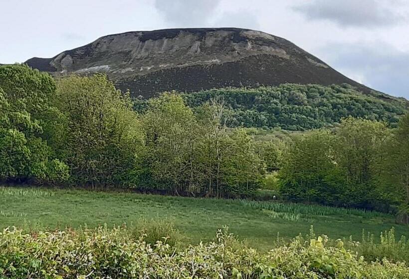 مبيت وإفطار Arch House