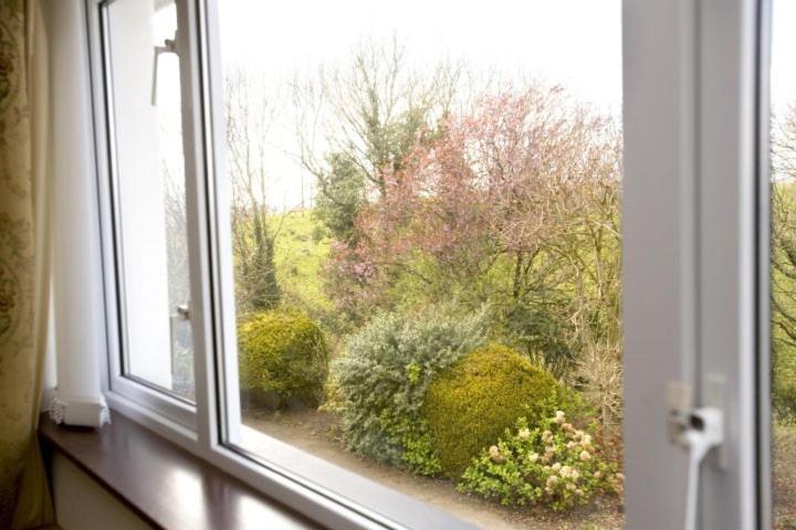 مبيت وإفطار Arch House