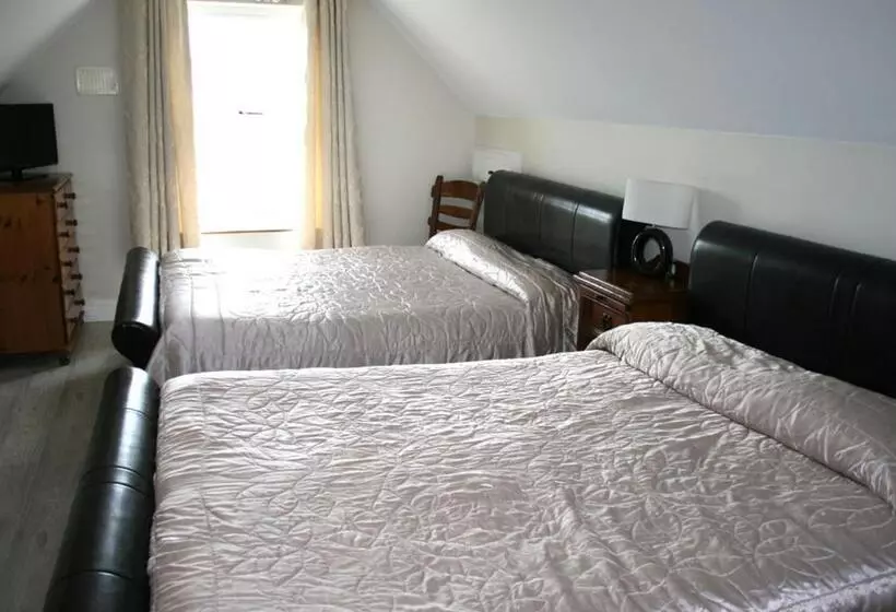 Celtic House B&b