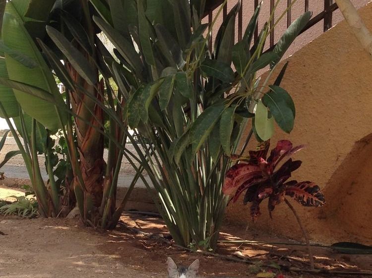 Constantaras Apartments